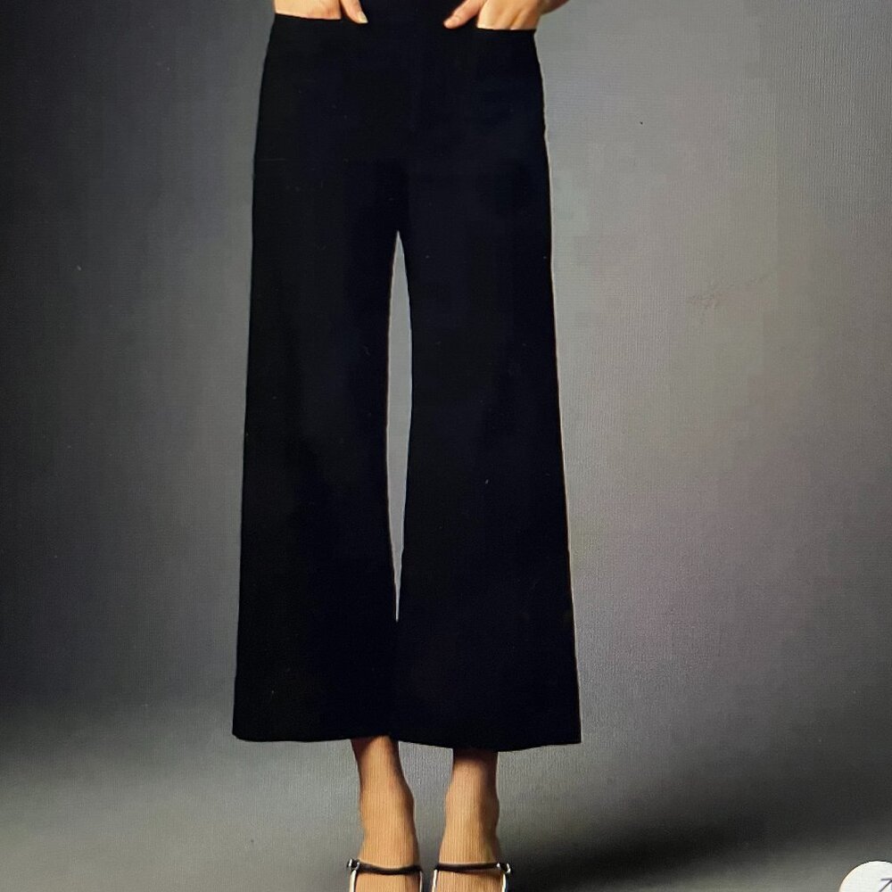 NWT Anthropologie Maeve - The Colette, Sz 32